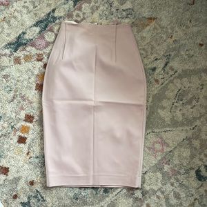 Express pencil skirt